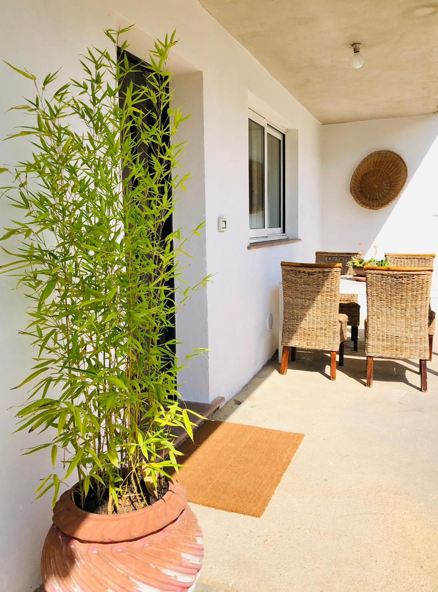 Blue Apricot Apartment Con Jacuzzi Montesilvano Marina Екстериор снимка